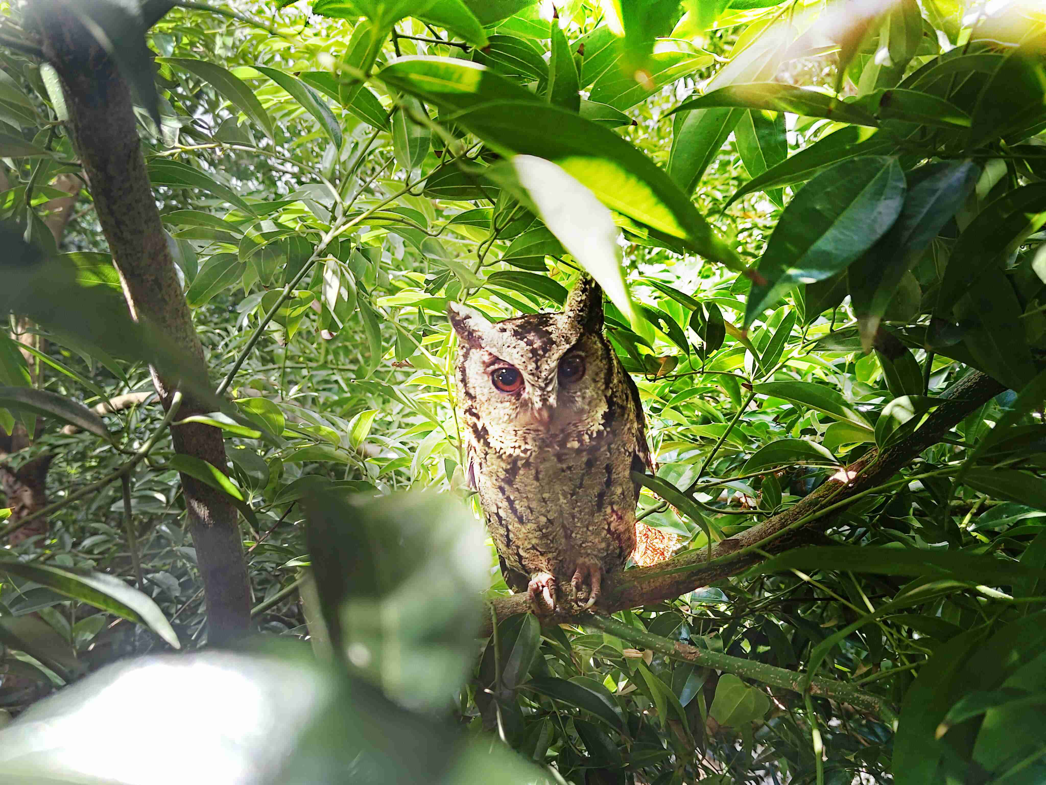 PG国际致力提倡净零绿生活，，，16年以来在全球各厂区植树逾百万棵，，，造就各厂区树木蔚然成林，，犹如森林工厂，，，成为许多生物的栖息地